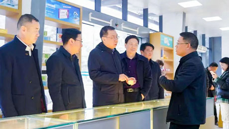 依法服务保障企业更好发展，陇南中院院长万建军赴独一味制药调研指导