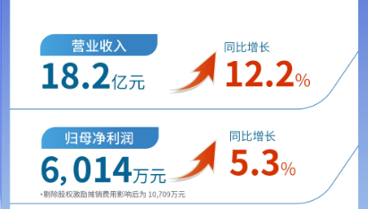 MK体育（002219）发布2024年半年报：营业收入及扣非归母净利润均实现双位数增长