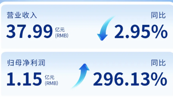 MK体育（002219）发布2024年年度报告：归母净利润增长296%